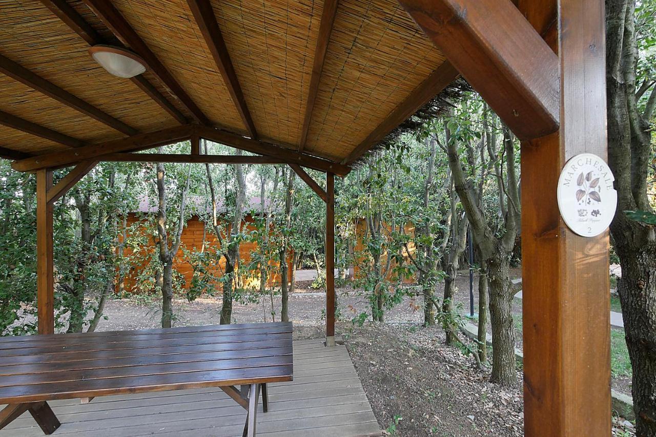 Agriturismo Le Vallette Bibbona Exterior foto